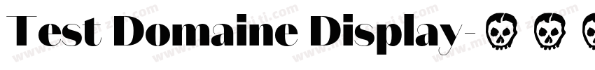 Test Domaine Display字体转换
